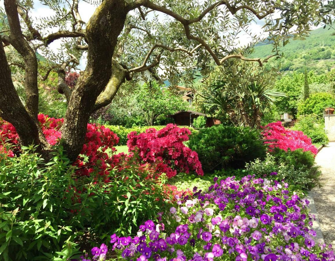 Iris 2 Lago Di Como 东戈 外观 照片