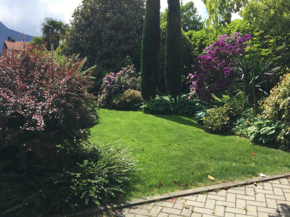Iris 2 Lago Di Como 东戈 外观 照片