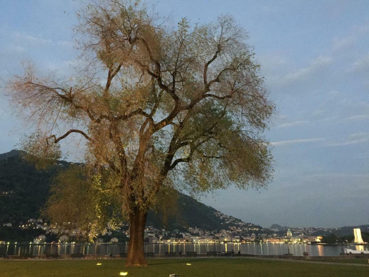 Iris 2 Lago Di Como 东戈 外观 照片